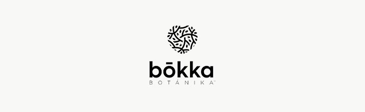 Defy Gravity Volume & Thickening Foam – Bokka Botanika